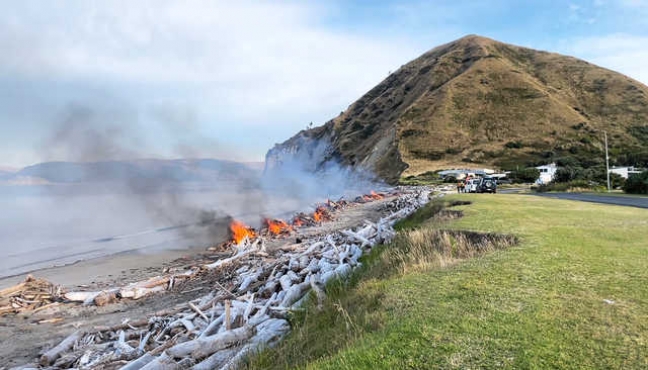 Controlled woody debris burning at Taylor’s Bay, Mahia, earlier this year.