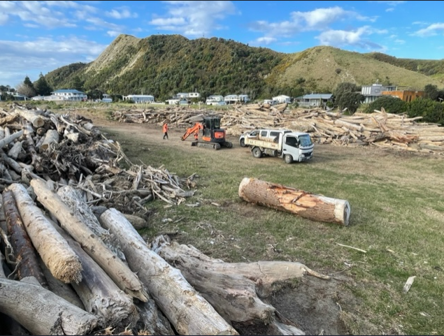 Woody debris is stockpiled on the Pohutakawa Reserve at Mahia.