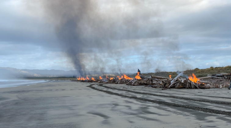 Woody debris burning at Mahia/Opoutama beach