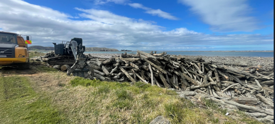 Debris on beach