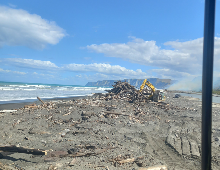 Clearing woody debris from the Waikare Beach area adjacent to the river mouth.